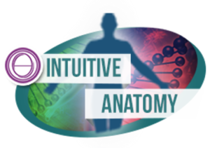 Interactive healing session focused on abundance and femininity